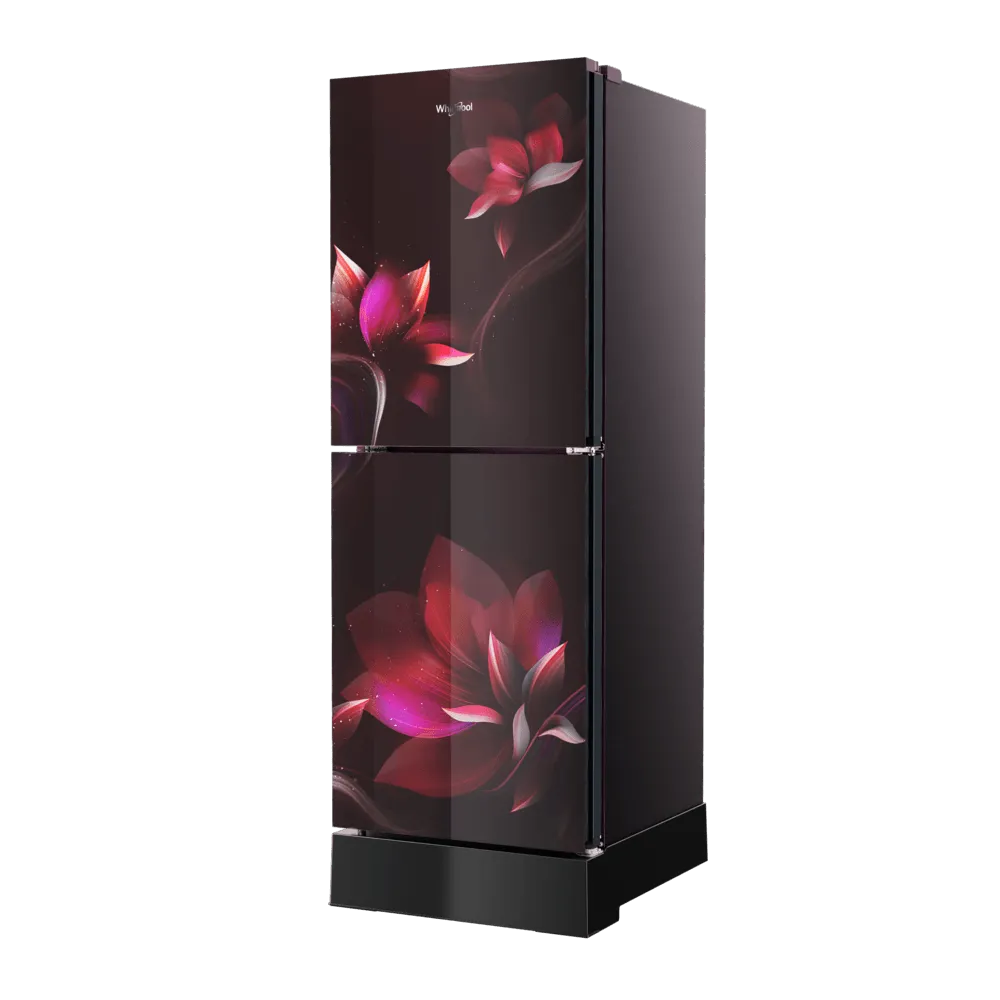 Whirlpool Fresh Magic Pro 278L Refrigerator Florina GD - Image 6